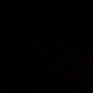 Meet your Posher, Aydan